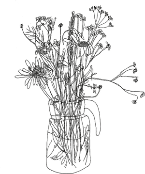 Aesthetic Flower Line Art, HD Png Download PNG image with transparent background
