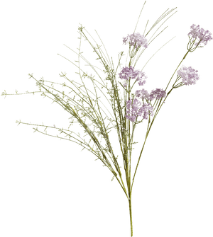 Meadow Flowers Png, Transparent Png PNG with transparent background