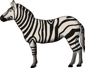 Wildlife Animal Pedia Wiki - Zebra, HD Png Download PNG image with transparent background