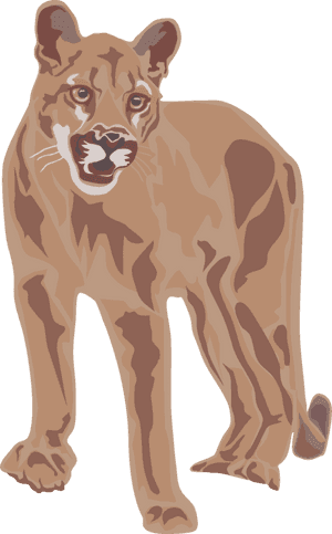 Wildlife,puma,big Cats - Cougar Clip Art, HD Png Download PNG image with transparent background