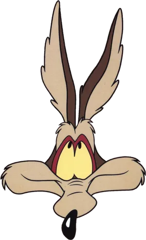 Wile_ E_ Coyote_ Frustrated_ Look PNG Image