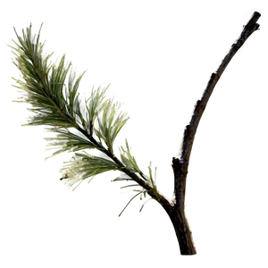 Windblown Twig Png Jap PNG Image