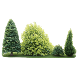 Windbreak Shrubs PNG mqr PNG