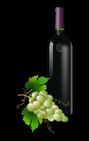 Wine Bottleand Grapes Vector PNG image with transparent background