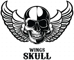 Winged Skull Graphic PNG Image