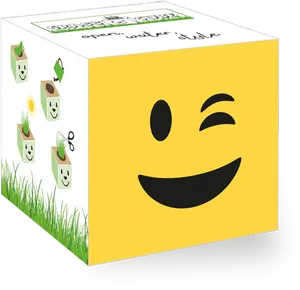 Winking Emoji Cube Packaging PNG Image