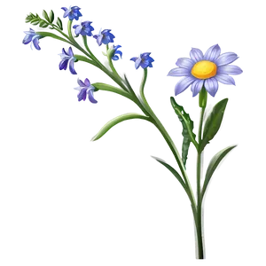 Winsome Wildflower Png Stt96 PNG Image