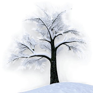 Winter Blizzard Scene PNG 06242024 PNG with transparent background