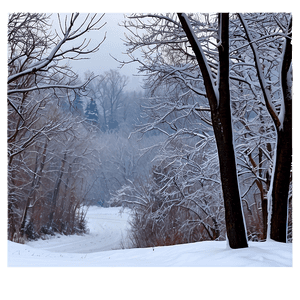 Winter Blizzard Scene PNG 06242024 PNG with transparent background