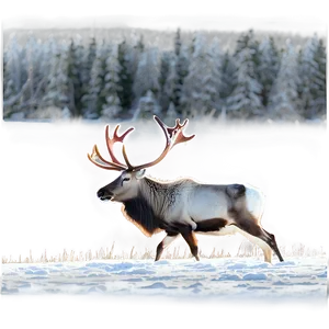 Winter Caribou Landscape Png 30 PNG Image