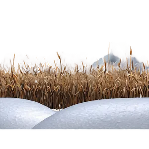 Winter Dead Grass Png Sxp15 PNG Image