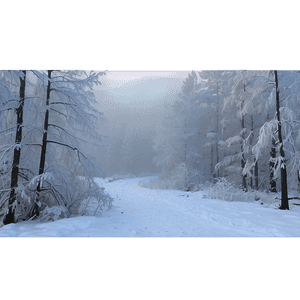 Winter Fog PNG ksj PNG image with transparent background