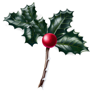 Winter Holly PNG 05252024 PNG
