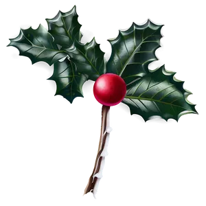 Winter Holly Png 05252024 PNG Image