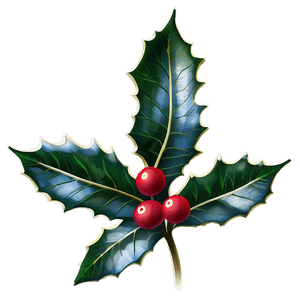 Winter Holly PNG 72 PNG