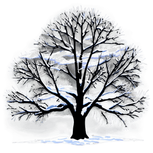 Winter Magnolia Tree Silhouette PNG mfd84 PNG