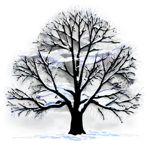 Winter Magnolia Tree Silhouette Png Mfd84 PNG Image