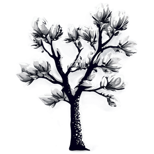 Winter Magnolia Tree Silhouette PNG rym PNG