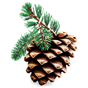 Winter Pine Cone PNG ngi PNG