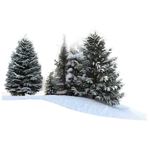 Winter Spruce Tree Scenery Png Yaa PNG Image