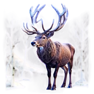 Winter Stag Scene Png Web99 PNG Image