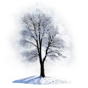 Winter Trees A PNG Image