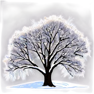 Winter Trees B PNG Image