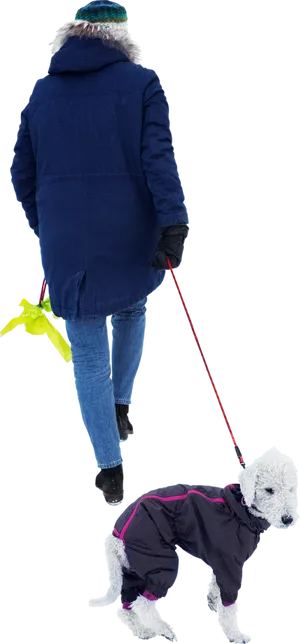 Winter Walk With Pet Dog PNG Image