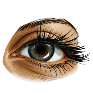 Wispy Eyelashes PNG 88 PNG