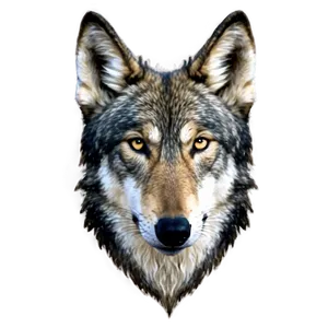 Wolf Face A PNG Image