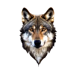 Wolf Face C PNG Image