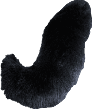 Wolftail Sticker Werewolf Furries Halloween Wolftail, HD Png Download PNG image with transparent background