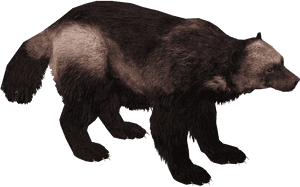 Wolverine Animal Png, Transparent Png PNG image with transparent background