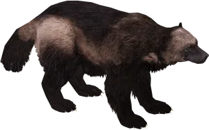 Wolverine_ Animal_ Walking_ Profile_ View.png PNG Image