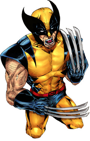 Wolverine Png - Wolverine, Transparent Png PNG image with transparent background