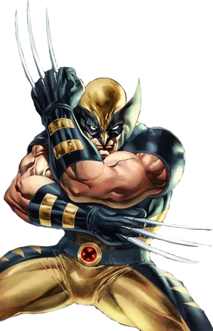 Wolverine Classic Pose PNG Image