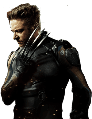 Wolverine Transparent Background Png - Hugh Jackman Wolverine Png, Png Download PNG image with transparent background
