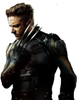 Wolverine Intense Gaze PNG Image