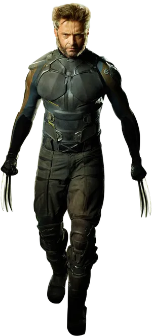 Wolverine Readyfor Battle PNG Image