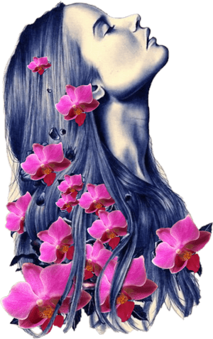 Girl With Flowers Drawing , Transparent Cartoons - Rose In Hair Drawing, HD Png Download PNG image with transparent background