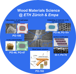 Material Science Wood, HD Png Download PNG with transparent background
