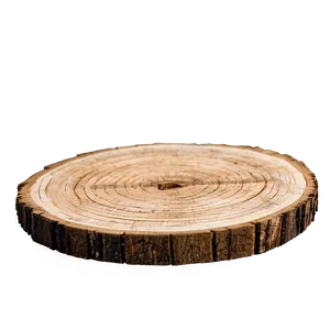 Wooden Slice Coaster Png 46 PNG Image