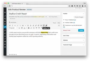 Word Press Credit Repair Product Review Editor Screenshot PNG Image