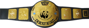 Download Wrestling Belt Transparent Background - All Wwe Championship Belt, HD Png Download PNG image with transparent background