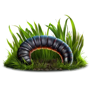 Worm In Grass Png Jxe62 PNG Image