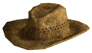Transparent Background Straw Hat, HD Png Download PNG image with transparent background