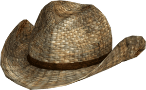 Nukapedia The Vault - Fallout New Vegas Straw Hat, HD Png Download PNG image with transparent background