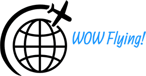Wow Flying Logo PNG image with transparent background