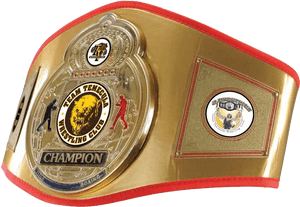 Junior B4b Belt - Gold Championship Belt, HD Png Download PNG image with transparent background