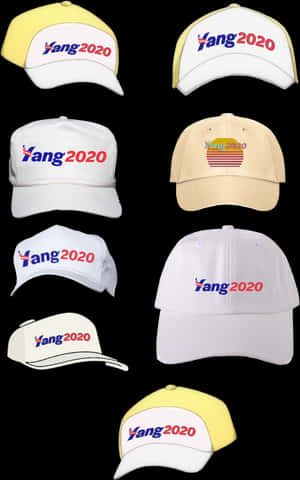 Yang2020 Campaign Hats Collection PNG image with transparent background